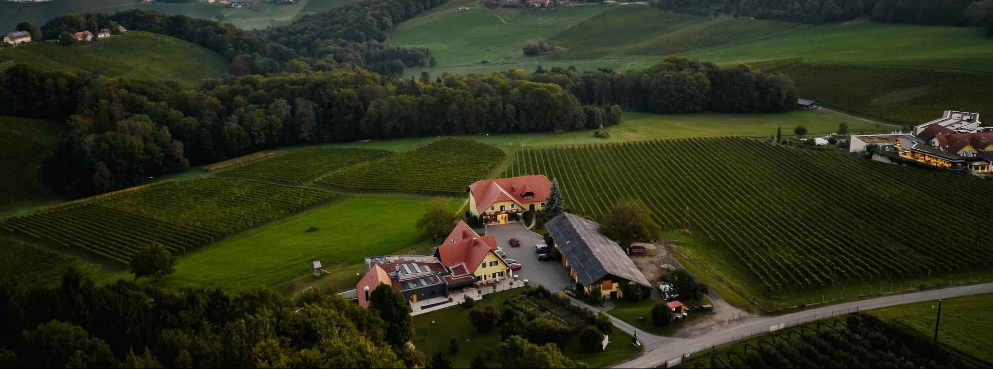 Luftaufnahme des Weinguts Pilch mit Weinbergen, Buschenschank und Gästezimmern in der Südsteiermark – eingebettet in die sanfte Hügellandschaft mit beeindruckendem Panoramablick.