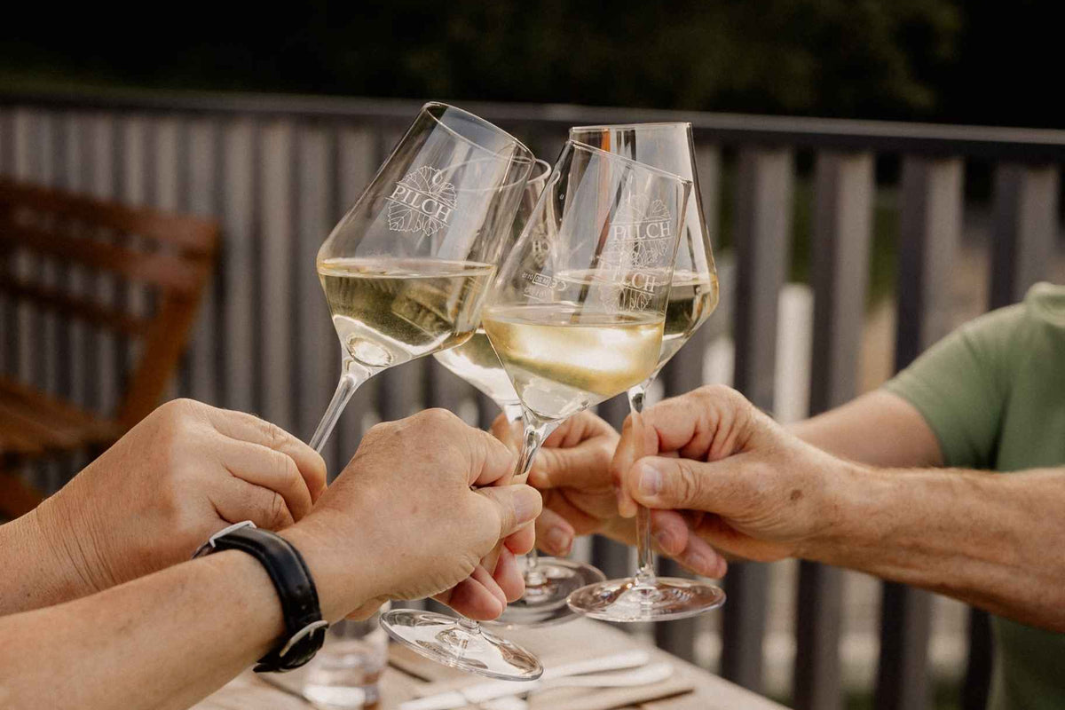 Anstoß mit Weißweingläsern auf der Panoramaterrasse des Weinguts Pilch – gemeinsamer Weingenuss inmitten der Weinberge der Südsteiermark.
