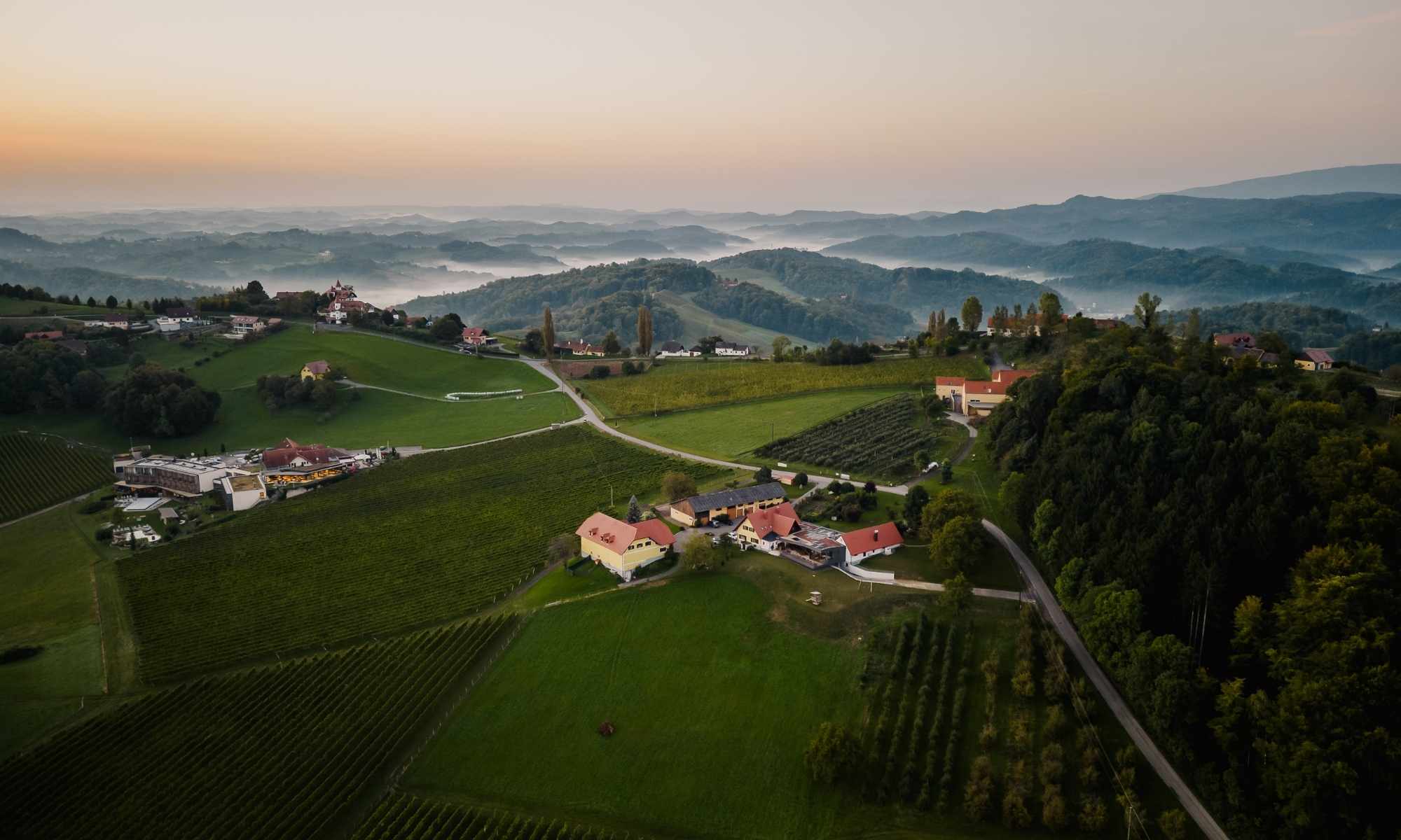 Luftaufnahme des Weinguts Pilch inmitten der Weinberge der Südsteiermark mit Buschenschank, Gästezimmern und herrlichem Panoramablick über die sanfte Hügellandschaft.